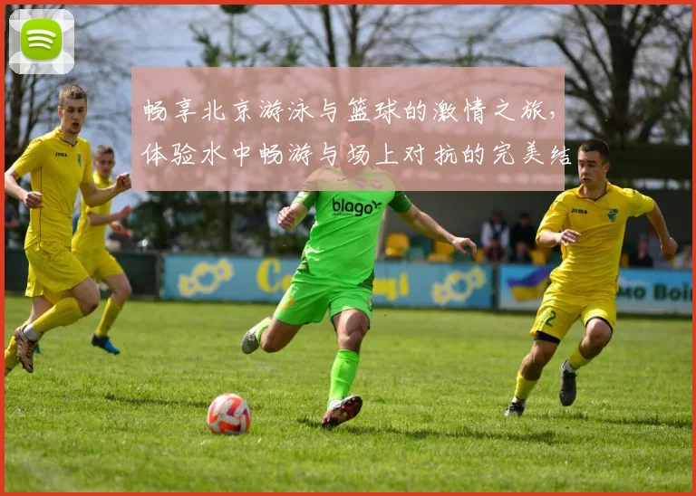 畅享北京游泳与篮球的激情之旅，体验水中畅游与场上对抗的完美结合