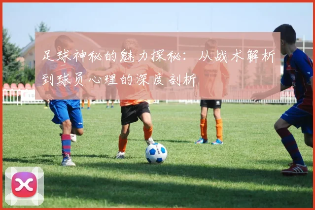 足球神秘的魅力探秘：从战术解析到球员心理的深度剖析