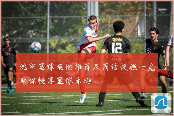 沈阳篮球场地推荐及周边设施一览助你畅享篮球乐趣