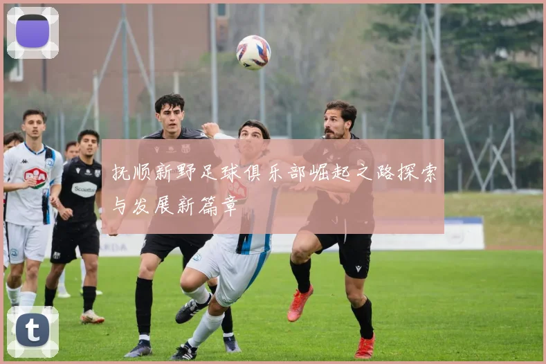 抚顺新野足球俱乐部崛起之路探索与发展新篇章